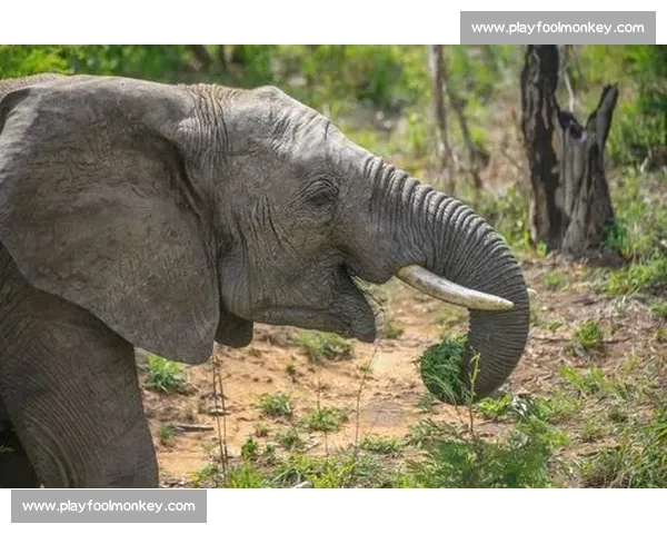 《在激烈的比赛中,我们不仅争取胜利,更收获了友谊与成长的故事》