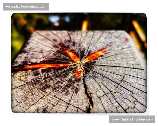 《挑战巅峰主持技巧模拟赛 引领年轻主持人突破自我极限》